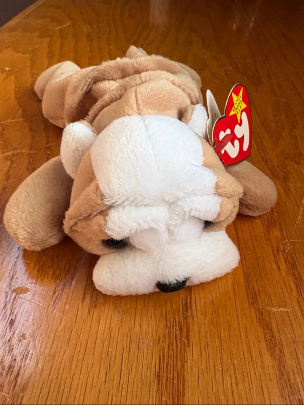 Ty Beanie Baby Wrinkles - 1996- New with tag
